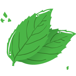 256x256 Mint Leaf Icon Chocolate Iconset Robin Weatherall