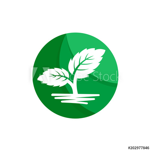 500x500 Organic Logo Template Leaves Mint Icon, Leaf Vector Illustration