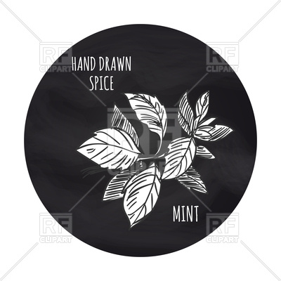 400x400 Hand Drawn Spice Black And White Mint Icon Vector Image Of Food