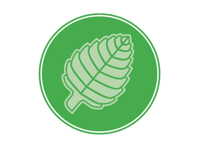 400x300 Mint Leaf Icon
