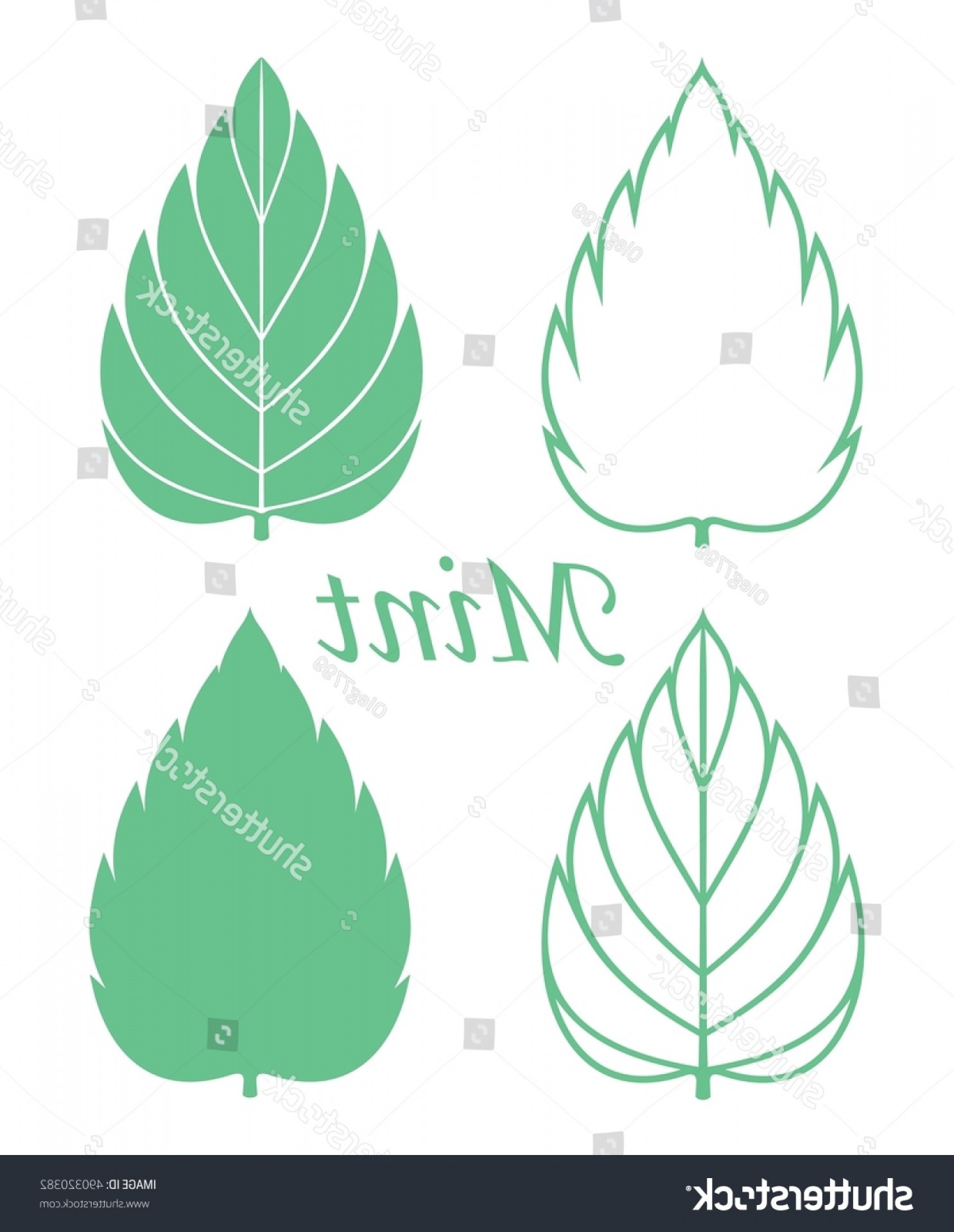 1486x1920 Mint Leaf Vector Studiogrfx