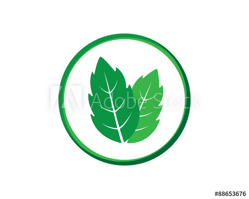 500x400 Mint Leaves Icon