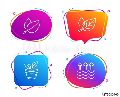 500x405 Mint Leaves, Leaves And Leaf Dew Icons Simple Set Evaporation