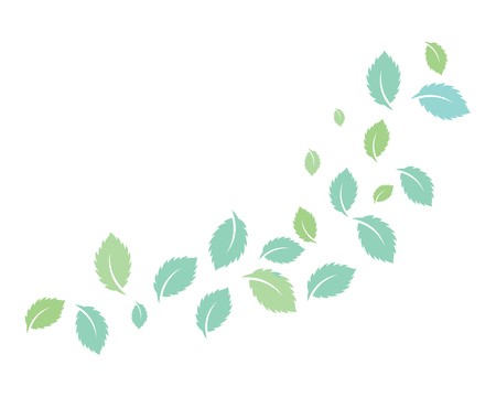 450x360 Mint Leaves Flat Vector Color Icon Template Royalty Free Vector