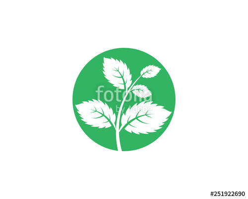 500x400 Mint Leaves Flat Vector Icon Stock Image And Royalty Free Vector