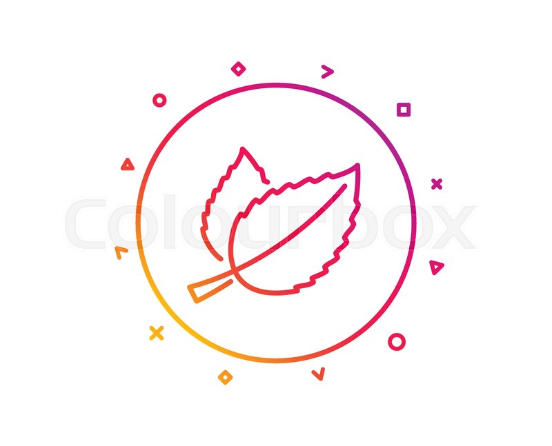 800x647 Mint Leaves Line Icon Herbal Leaf Stock Vector Colourbox