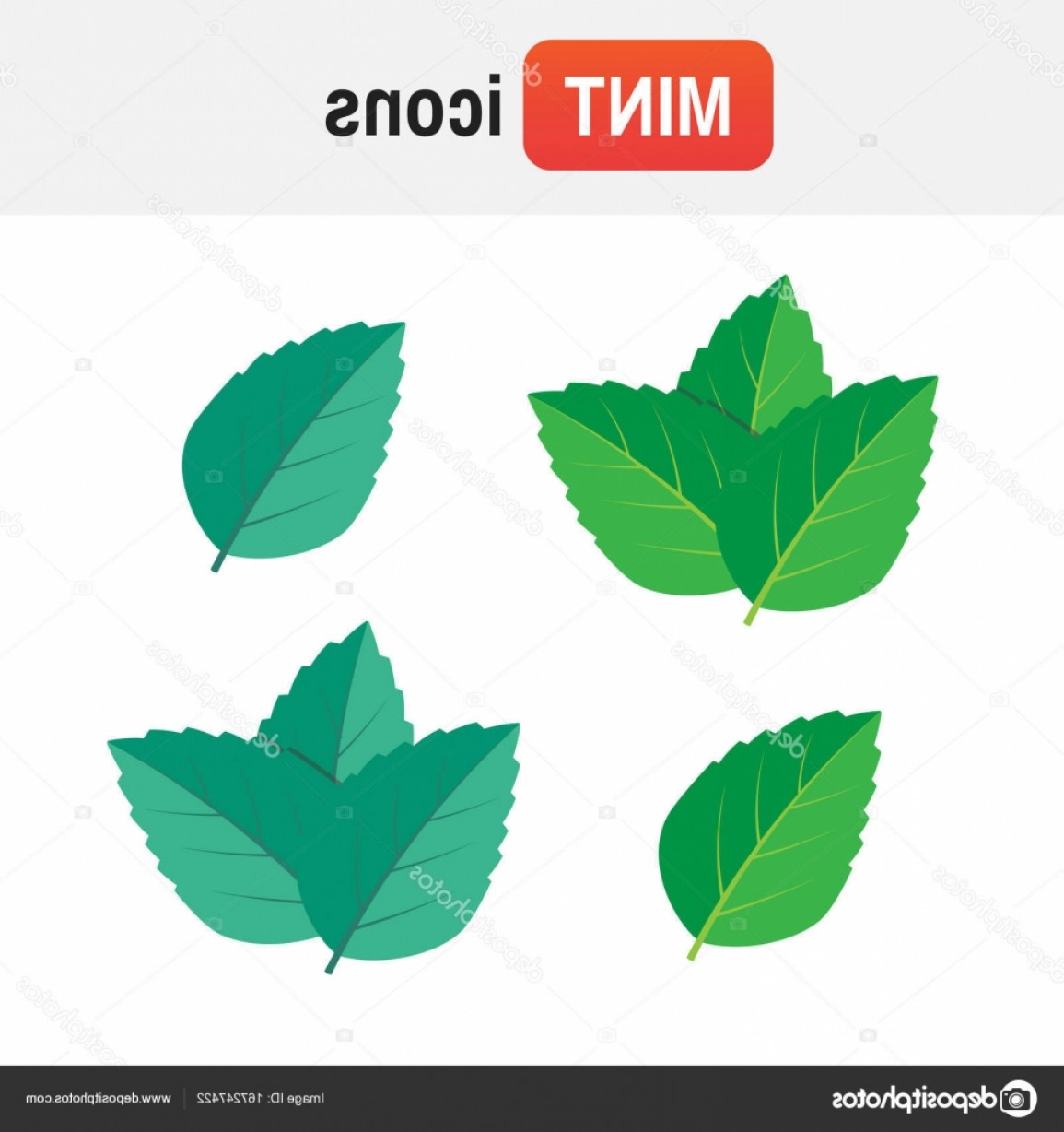 1155x1228 Stock Illustration Mint Leaf Icon Mint Green Geekchicpro