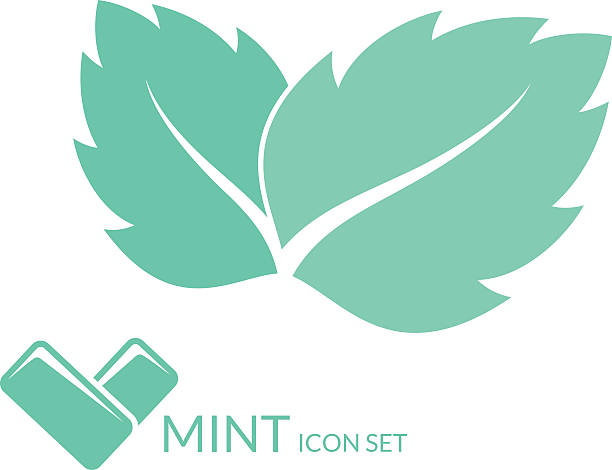 612x470 Mint Leaf Clipart