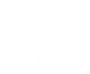 300x248 Icon Misc White