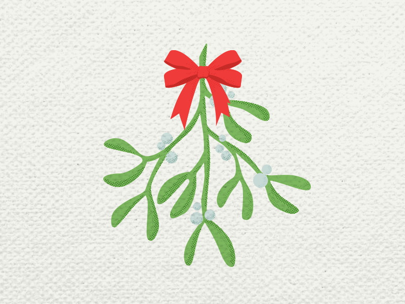 800x600 Mistletoe Icon
