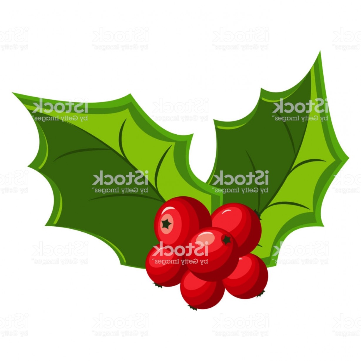 1228x1228 Christmas Holly Berry Leaves Icons Vector Cartoon Mistletoe Icon