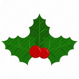 256x256 Mistletoe Icon