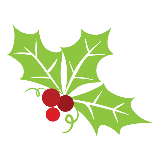 512x512 Mistletoe Icon
