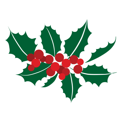 512x512 Mistletoe Icon