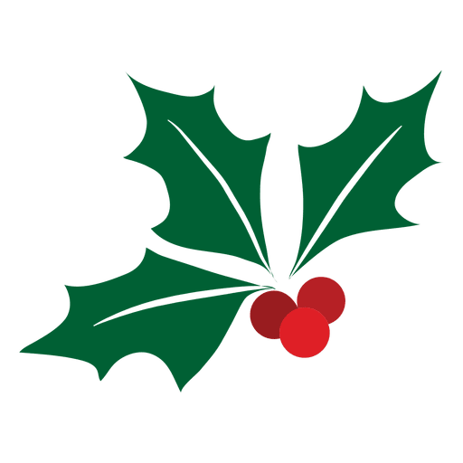 512x512 Mistletoe Icon
