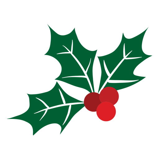 512x512 Mistletoe Icon