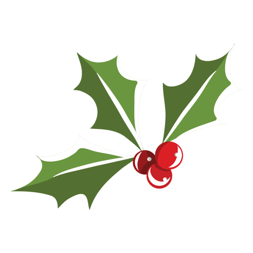 512x512 Mistletoe Icon