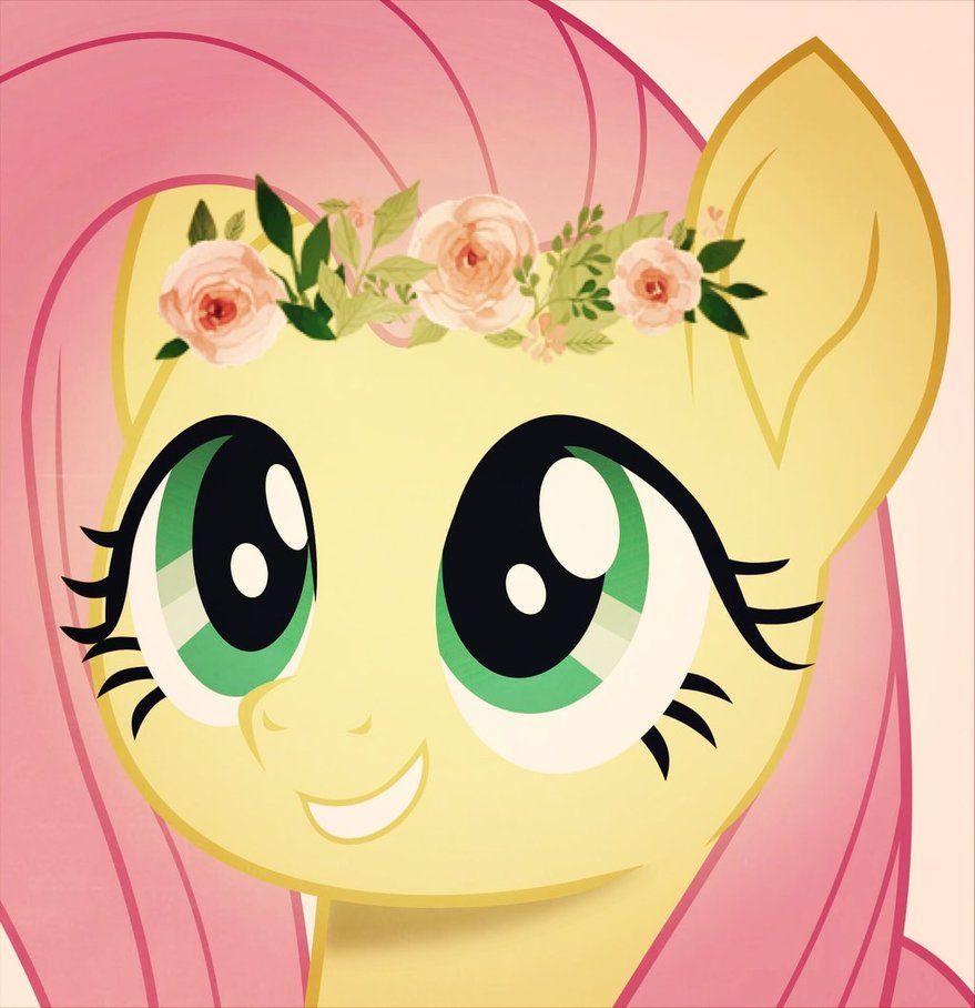 879x908 Fluttershy Icon