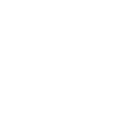256x256 Free White Phone Icon