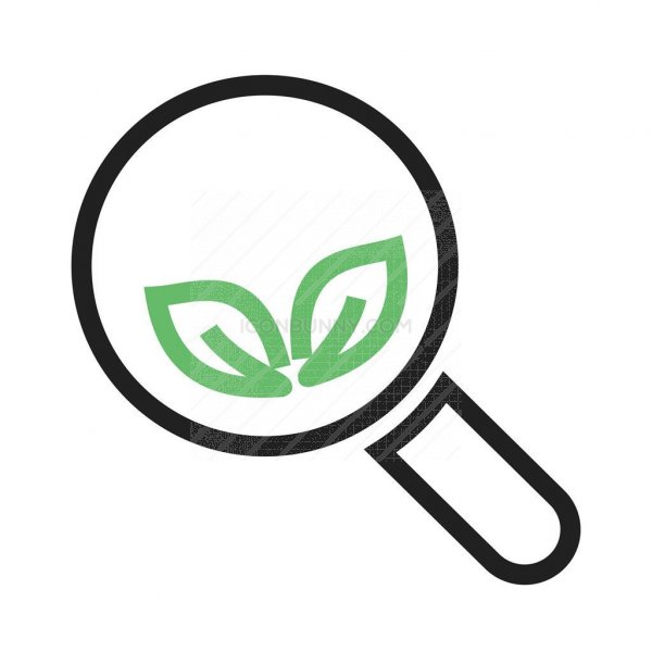 600x600 Organic Search Line Green Black Icon