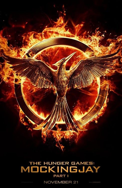 487x750 Any Association With The Mockingjay Symbol Is