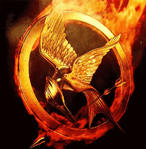 500x510 The Evolution Of The Mockingjay The Hunger Games' Icon