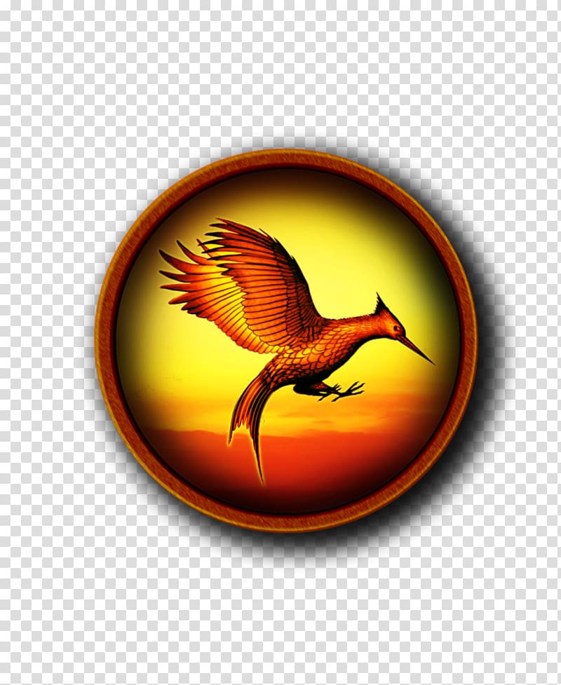 800x977 Catching Fire Computer Icons The Hunger Games, Circular Ring