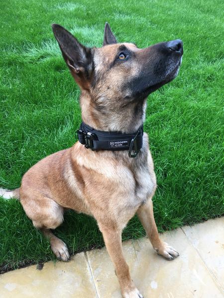 450x600 Modern Icon Collar