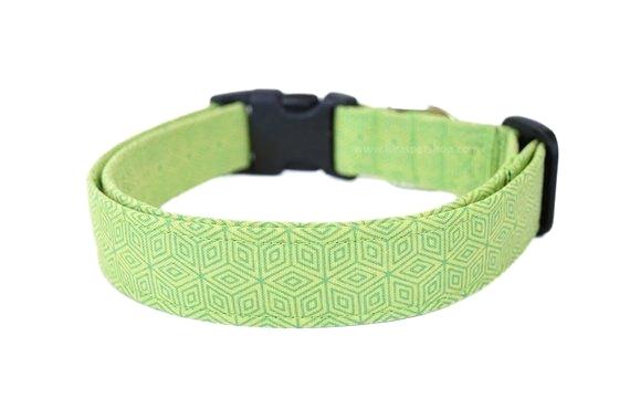 Modern Dog Collars Borngenius 570x380 Modern Dog Collars Borngenius