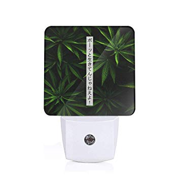 355x355 Ven Nl Japanese Text Icon Night Light Automatic