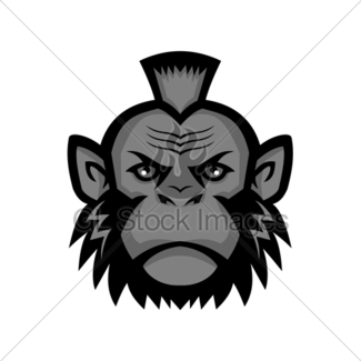 325x325 Mohawk Images Gl Stock Images