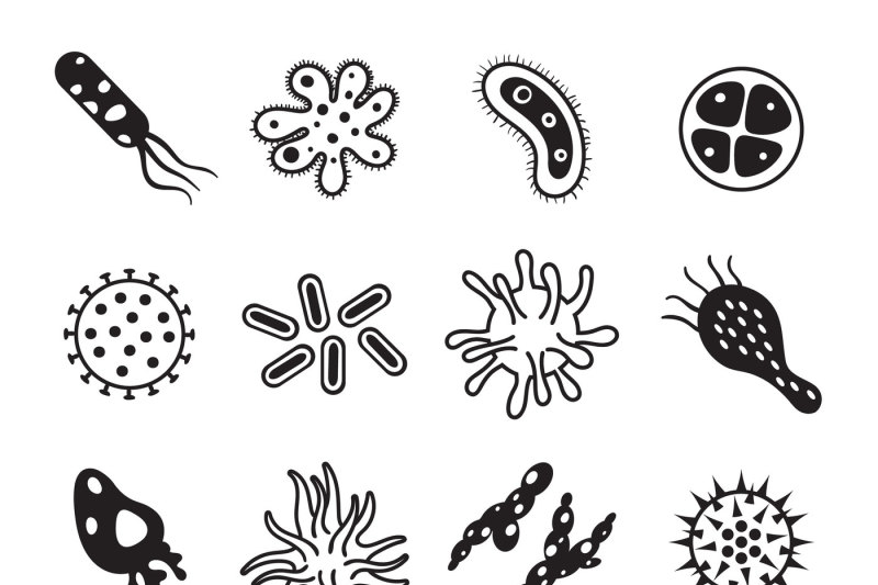 800x533 Biology Diseases Virus And Mold Bacteria Hygiene Icon Biological