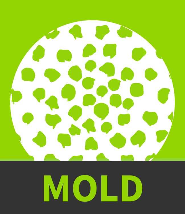Mold Icon 650x750 Mold Icon