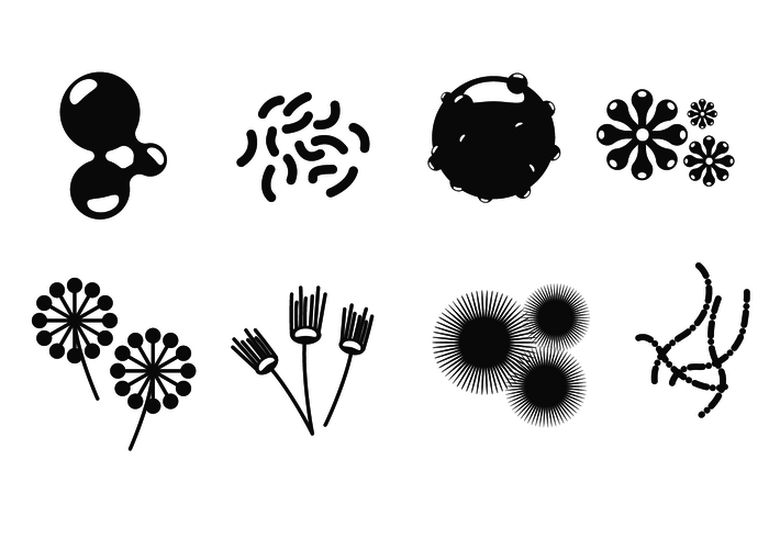 Mold Icons Vector 700x490 Mold Icons Vector