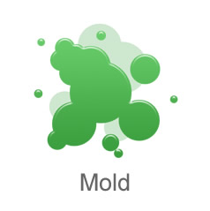 Icon Mold Insurance Must Pay 238x239 Icon Mold Insurance Must Pay