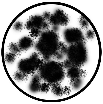 438x440 Mold Icon Rainbow International Denver