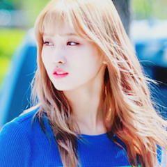 Momo Icon Discovered 240x240 Momo Icon Discovered