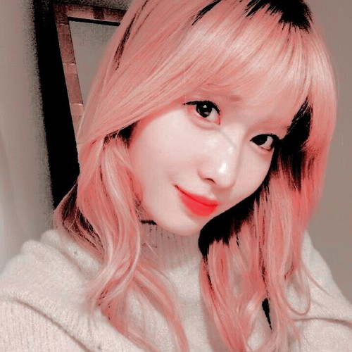 Momo Icons Discovered 500x500 Momo Icons Discovered