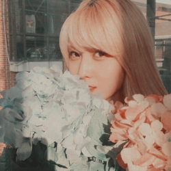 Momo Icons Tumblr 250x250 Momo Icons Tumblr