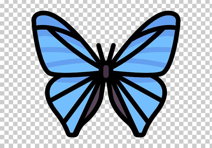 728x508 Monarch Butterfly Kindergarten Brush Footed