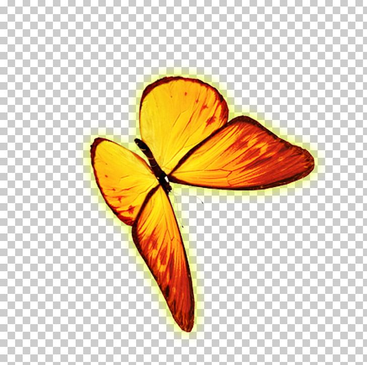 728x724 Monarch Butterfly Icon Png, Clipart, Animal, Butterflies And Moths