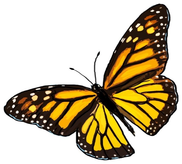 640x576 Butterfly, Icon Print