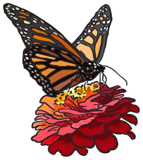 492x551 Monarch Butterfly And Flower, Icon Print