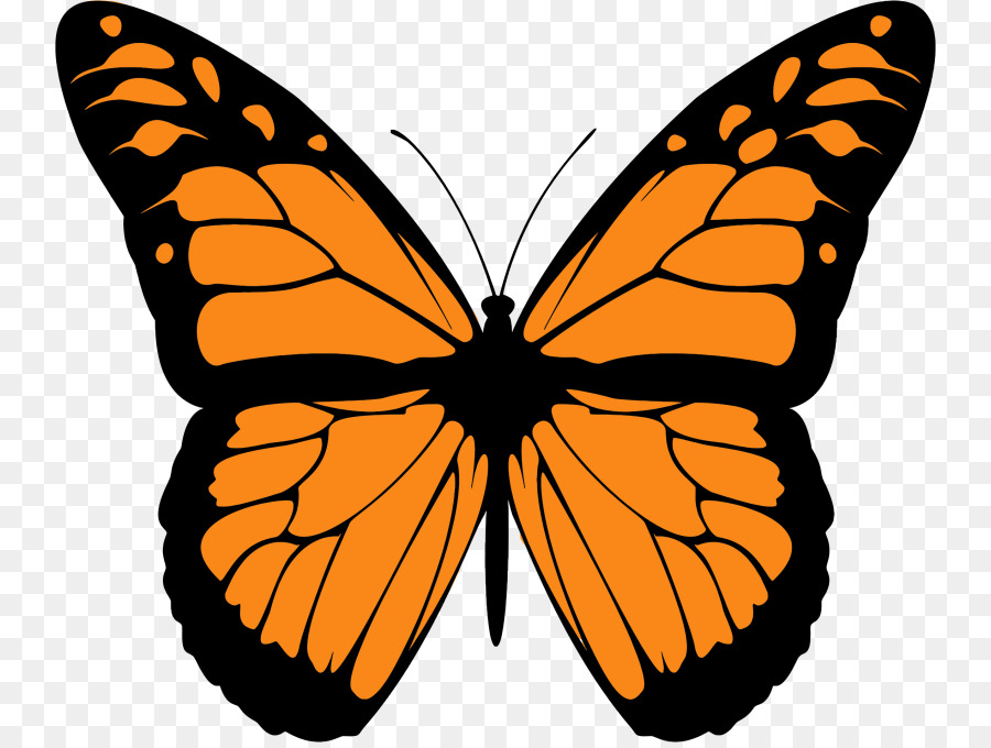 900x680 Butterfly Flower Clipart