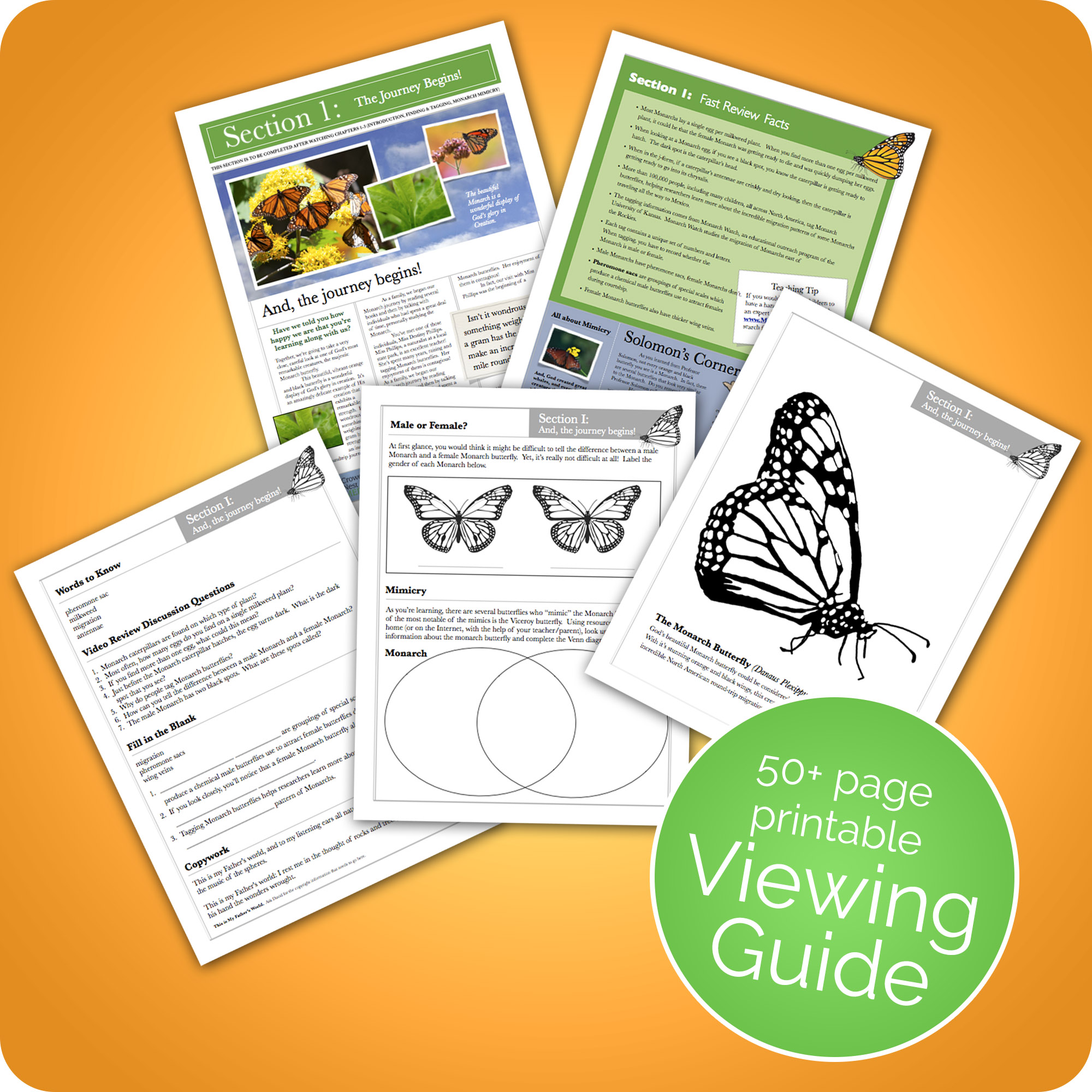 2000x2000 Your Backyard Monarch Viewing Guide, Questions Coloring Pages