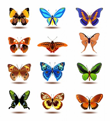 385x425 Computer Icon,nature,symbol,vector,pattern,insect,butterfly