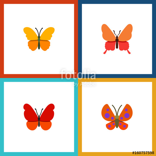 500x500 Flat Icon Monarch Set Of Moth, Monarch, Butterfly And Other Vector