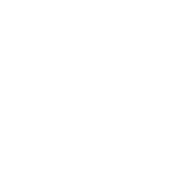 192x192 Monetization On Icon Material Ui