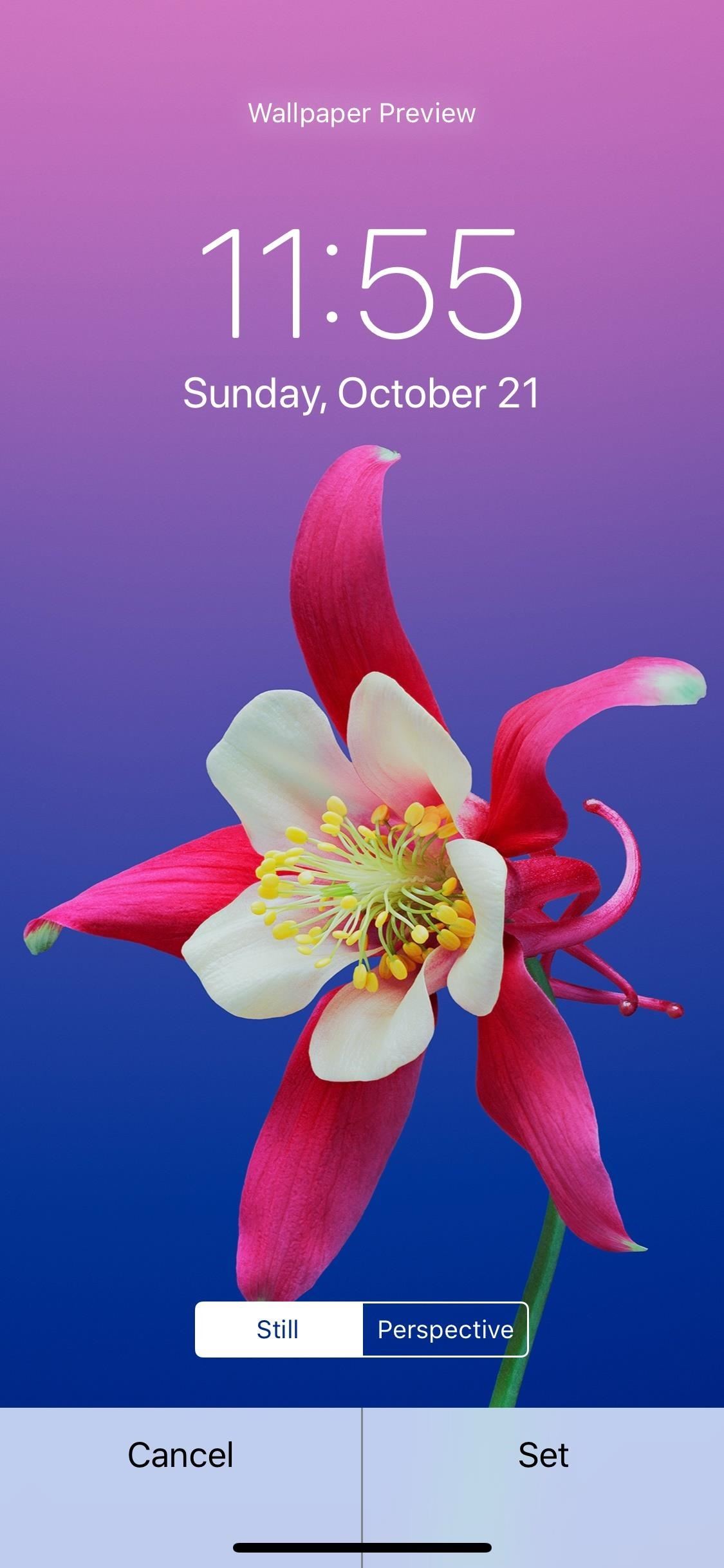 1125x2436 The Ultimate Guide To Customizing Your Iphone Ios Iphone