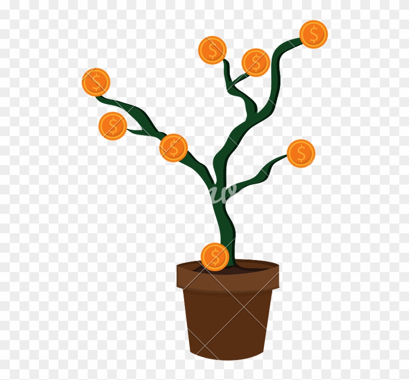 840x782 Money Plant